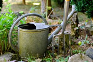 Gießkanne Gartenwerkzeug grüne Pflanzen